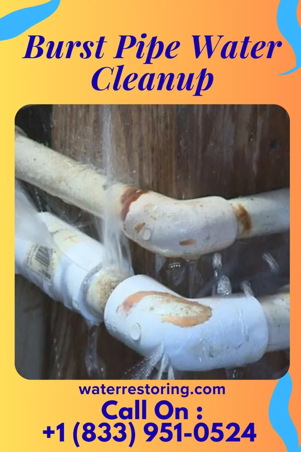 Burst Pipe Water Cleanup in Pennville, PA
