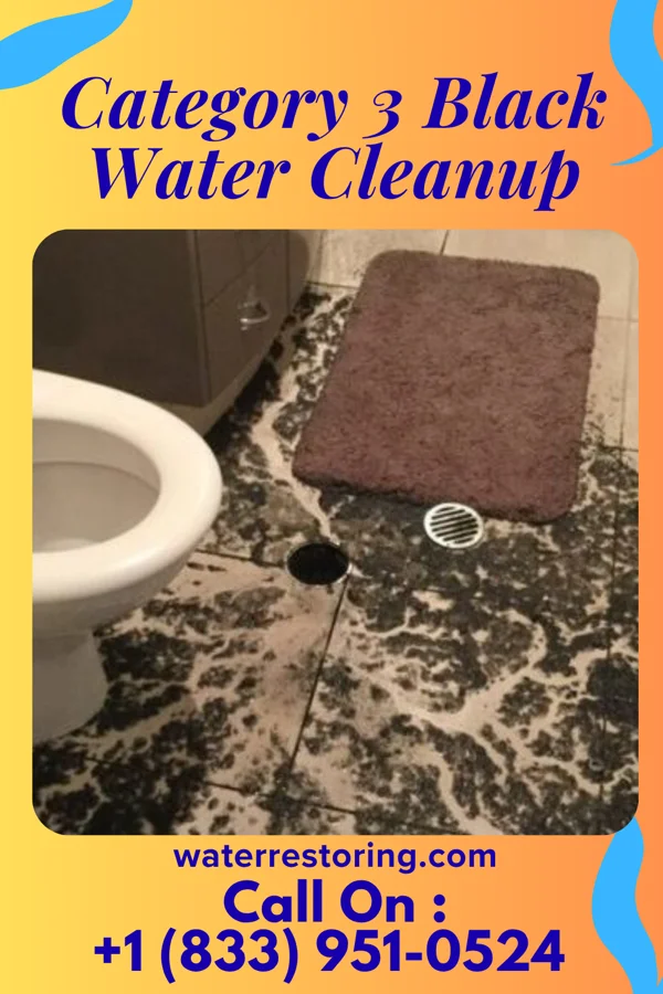 Category 3 Black Water Cleanup in Pennville, PA