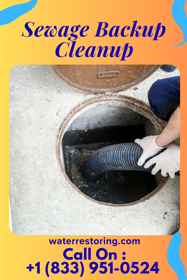 Sewage Backup Cleanup in Pennville, PA